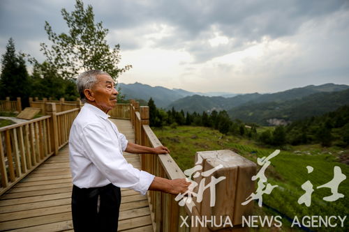 愚公移大山正版下载-愚公移大山下载中文版v.7.11